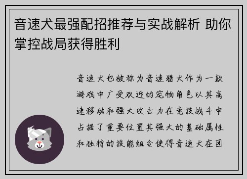 音速犬最强配招推荐与实战解析 助你掌控战局获得胜利